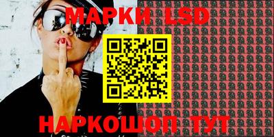 МДПВ Бийск